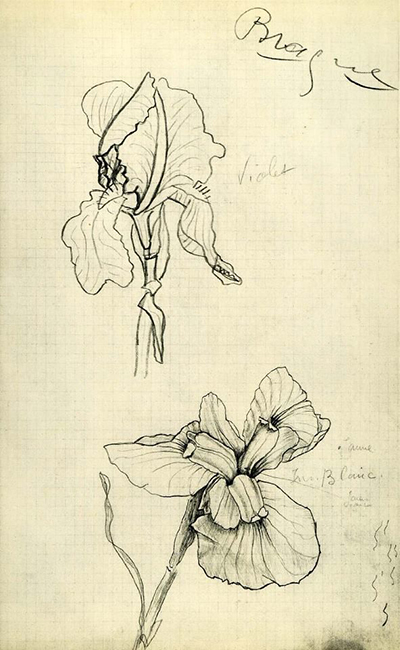 Georges Braque Drawings